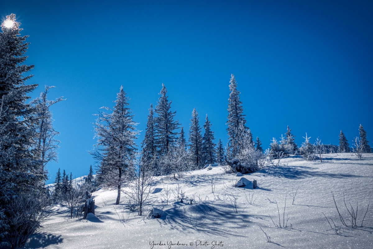 Зима над Берковица